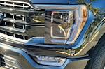2023 Ford F-150 SuperCrew Cab 4WD Pickup for sale #PKD14556P - photo 51