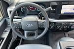 2024 Ford F-250 Regular Cab 4WD Pickup for sale #REE01583 - photo 13
