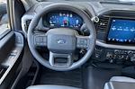 2025 Ford F-150 Regular Cab RWD Pickup for sale #SKD48279FR - photo 14