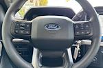 2025 Ford F-150 Regular Cab RWD Pickup for sale #SKD79443 - photo 21