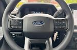 2025 Ford F-150 Regular Cab RWD Pickup for sale #SKD86425 - photo 21