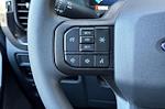 2025 Ford F-150 SuperCrew Cab RWD Pickup for sale #SKE03019 - photo 24
