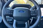 2025 Ford F-150 SuperCrew Cab RWD Pickup for sale #SKE25859 - photo 23