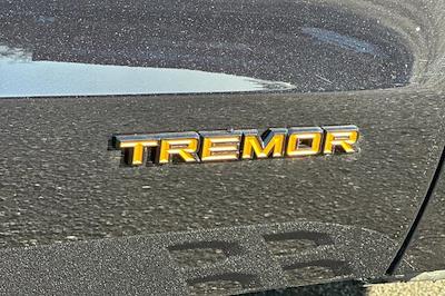 New 2026 Ford Expedition - photo 1