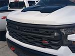 2024 Chevrolet Silverado 1500 Crew Cab 4x4 Pickup for sale #19AD3497 - photo 18