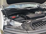 2024 Chevrolet Silverado 1500 Crew Cab 4x4 Pickup for sale #19AD3497 - photo 25