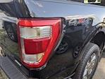 2022 Ford F-150 SuperCrew Cab 4x4 Pickup for sale #19AN3410A - photo 10