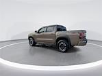 Used 2024 Nissan Frontier PRO-4X Crew Cab for sale #19C9877A - photo 2