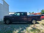 2011 Ford F-250 Crew Cab 4x2 Pickup for sale #DT19C3731C - photo 8