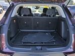 2023 Chevrolet Trailblazer FWD SUV for sale #19C2252A - photo 22