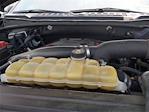 2020 Ford F-150 SuperCrew Cab 4x4 Pickup for sale #19C4143A - photo 56