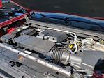 2024 Chevrolet Colorado Crew Cab 4WD Pickup for sale #19C4346A - photo 25