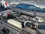2024 Ford F-150 SuperCrew Cab 4WD Pickup for sale #19C5877A - photo 24