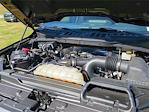 2022 Ford F-150 SuperCrew Cab 4WD Pickup for sale #19PN3637 - photo 25
