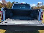 2023 Ford F-150 SuperCrew Cab 4WD Pickup for sale #19PN3640 - photo 23