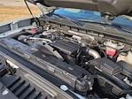 2024 Chevrolet Silverado 2500 Crew Cab 4WD Pickup for sale #DT19G9278A - photo 25