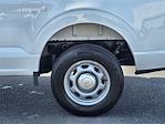 New 2025 Ford F-150 XL Regular Cab Pickup for sale #54569 - photo 12