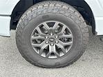New 2025 Ford F-150 Tremor SuperCrew Cab for sale #10F0140 - photo 13
