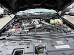 2022 Ford F-250 Crew Cab 4x4 Pickup for sale #10F03426A - photo 10