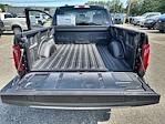 2025 Ford F-150 Regular Cab 4x4 Pickup for sale #10F11495 - photo 16