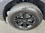 2025 Ford F-150 Regular Cab 4x4 Pickup for sale #10F1352 - photo 13