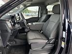 2025 Ford F-150 Regular Cab 4x4 Pickup for sale #10F1352 - photo 17