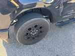 2023 Ford F-250 Crew Cab 4WD Pickup for sale #10F1775A - photo 6