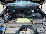New 2025 Ford F-150 XL Regular Cab 4x4 Pickup for sale #10F19485 - photo 10
