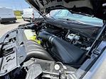 New 2025 Ford F-150 XL Regular Cab 4x4 Pickup for sale #10F19485 - photo 27