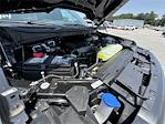 New 2025 Ford F-150 XL Regular Cab 4x4 Pickup for sale #10F19485 - photo 28