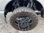 2024 Ford F-350 Crew Cab DRW 4x4 Pickup for sale #10F2193A - photo 13