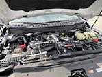 2024 Ford F-350 Crew Cab DRW 4x4 Pickup for sale #10F2372A - photo 10