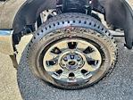 2024 Ford F-350 Crew Cab SRW 4x4 Pickup for sale #10F2380A - photo 13