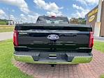 2025 Ford F-150 Regular Cab 4x4 Pickup for sale #10F3998 - photo 15