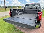 2025 Ford F-150 Regular Cab 4x4 Pickup for sale #10F3998 - photo 17