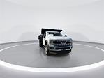2025 Ford F-550 Regular Cab DRW 4x4 Dump Truck for sale #10F4659 - photo 3