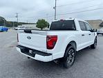 2025 Ford F-150 SuperCrew Cab RWD Pickup for sale #10F4995 - photo 9