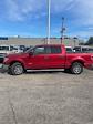 2012 Ford F-150 SuperCrew Cab RWD Pickup for sale #10F5076A - photo 3