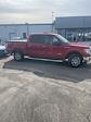 2012 Ford F-150 SuperCrew Cab RWD Pickup for sale #10F5076A - photo 7