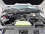 2026 Ford F-150 SuperCrew Cab RWD Pickup for sale #10F5232 - photo 11