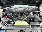 New 2026 Ford F-150 XL Regular Cab for sale #10F5303 - photo 10