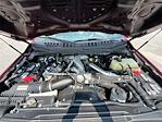 2022 Ford F-350 Crew Cab SRW 4x4 Pickup for sale #10F65766A - photo 10