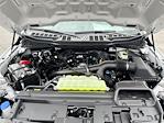 New 2025 Ford F-150 XL Super Cab for sale #10F6827 - photo 6