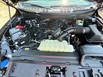 2025 Ford F-150 SuperCrew Cab 4x4 Pickup for sale #10F76140 - photo 10