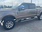 2019 Ford F-250 Crew Cab 4x4 Pickup for sale #10F8667A - photo 9