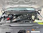 New 2026 Ford F-250 XL Crew Cab for sale #10F8951 - photo 11
