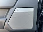 2025 Ford F-350 Crew Cab DRW 4x4 Pickup for sale #10F9163 - photo 31