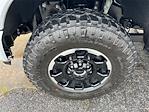 2025 Ford F-250 Crew Cab 4x4 Pickup for sale #10F94381 - photo 23