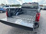2025 Ford F-150 SuperCrew Cab 4x2 Pickup for sale #10F9909 - photo 15