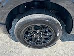 2025 Ford F-150 SuperCrew Cab 4x2 Pickup for sale #10F9916 - photo 23